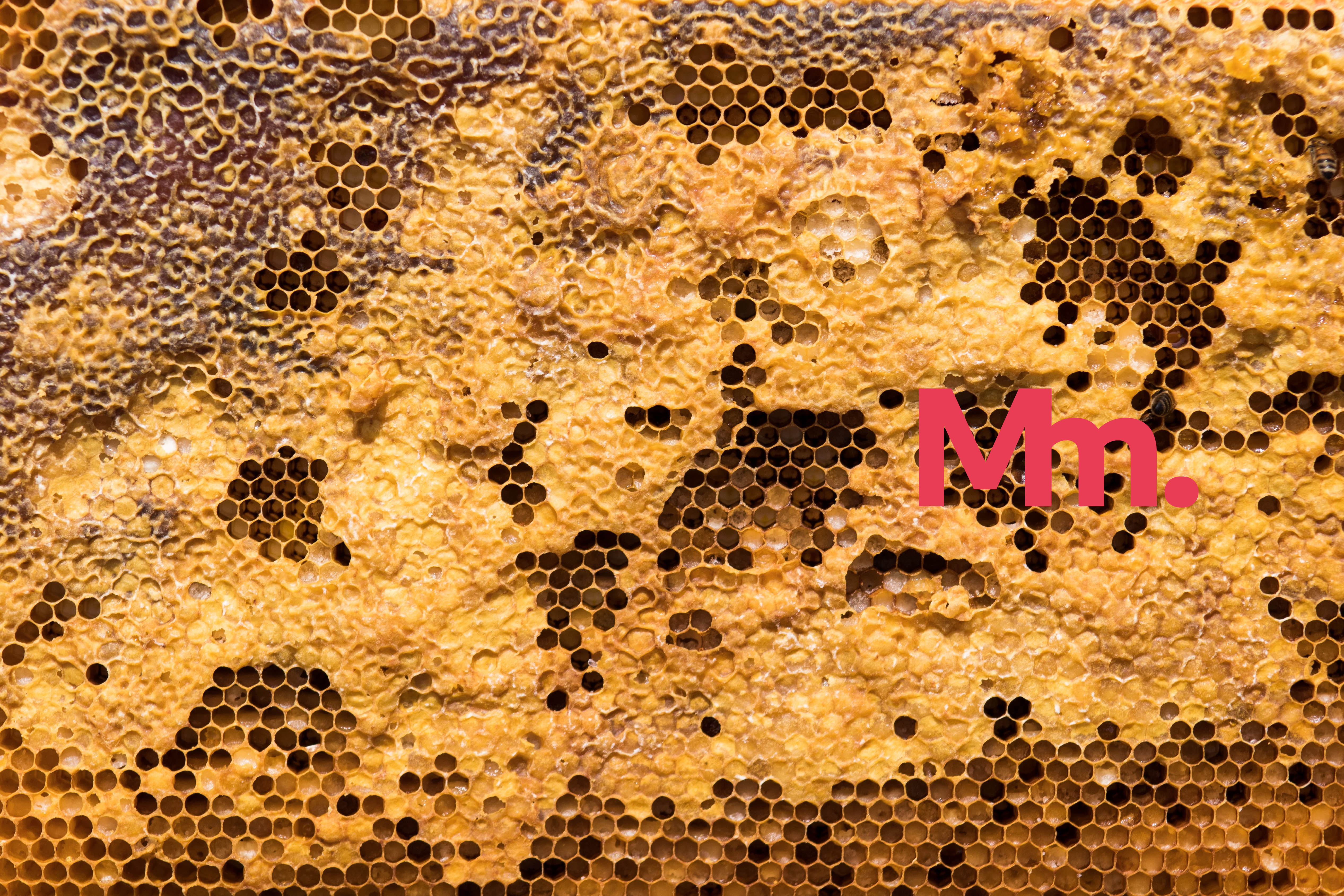 marabesi.com - Matheus Marabesi - Hexagonal architecture - Another way to the hexagone